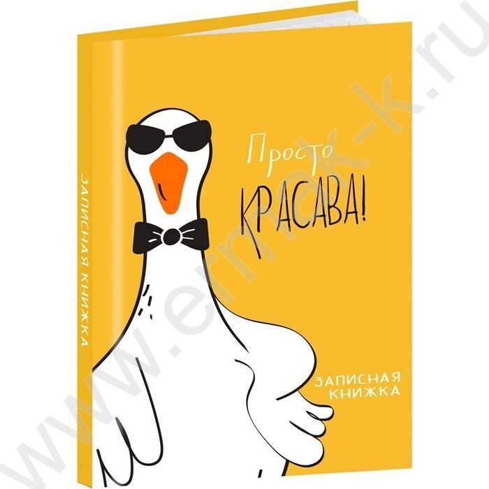 Зап. книжка 48л А7 тв.обл  "Забавные гуси-2" /глянец/ | Фото 1