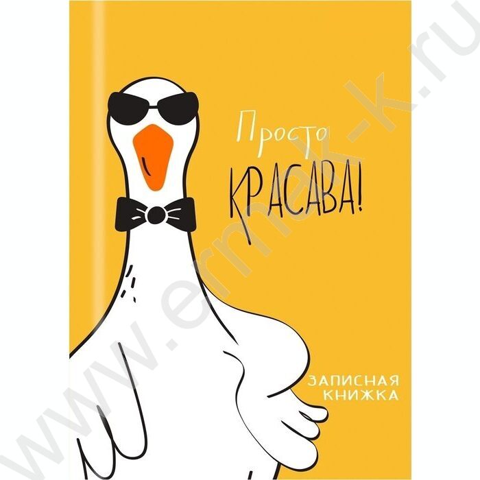 Зап. книжка 48л А7 тв.обл  "Забавные гуси-2" /глянец/ | Фото 2