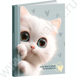 Зап. книжка 48л А7 тв.обл  "Обаятельные котята" /глянец/ NEW | Фото 1