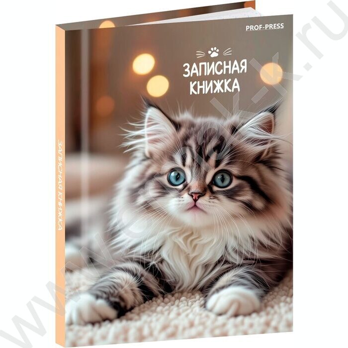 Зап. книжка  64л А7 тв.обл  "Милые котята-6" /глянец/ | Фото 1