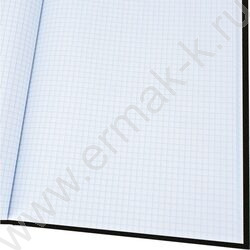 Книга Учёта  96л клетка тв.обл.офсет "Государственный символ России-2" глянц.лам. NEW | Фото 3