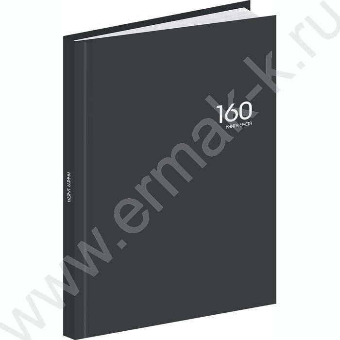 Книга Учёта 160л клетка тв.обл.офсет "Графит-3" /глянец/ | Фото 1