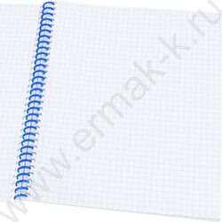 Тетрадь  48л клетка/спираль "Городская архитектура-5" ассорти NEW | Фото 2