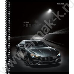 Тетрадь  48л клетка/спираль "Туманная дорога" ассорти NEW | Фото 4