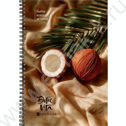 Тетрадь  96л А4 клетка/спираль "Кокос и лист пальмы" NEW | Фото 1