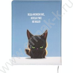 Дневник 1-11кл. /тв.обл. /иск.кожа /ляссе  "Мало того, что мало..." NEW | Фото 2