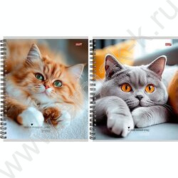 Тетрадь  48л клетка/спираль "Милые коты-1" ассорти NEW | Фото 1