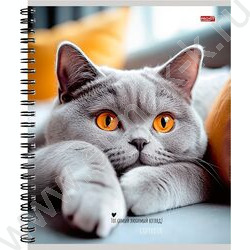 Тетрадь  48л клетка/спираль "Милые коты-1" ассорти NEW | Фото 4