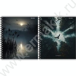 Тетрадь  48л клетка/спираль "Завораживающие пейзажи-2" ассорти NEW | Фото 1