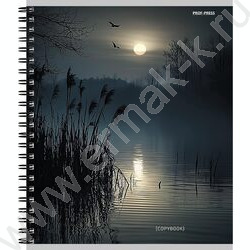 Тетрадь  48л клетка/спираль "Завораживающие пейзажи-2" ассорти NEW | Фото 5