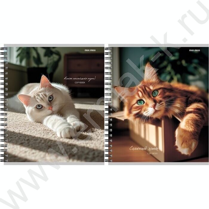 Тетрадь  48л клетка/спираль "Милые коты-2" ассорти | Фото 1