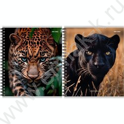 Тетрадь  96л клетка/спираль "Дикие кошачьи-3" ассорти NEW | Фото 1
