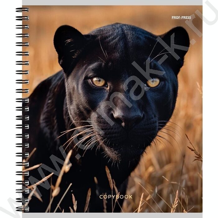 Тетрадь  96л клетка/спираль "Дикие кошачьи-3" ассорти | Фото 5