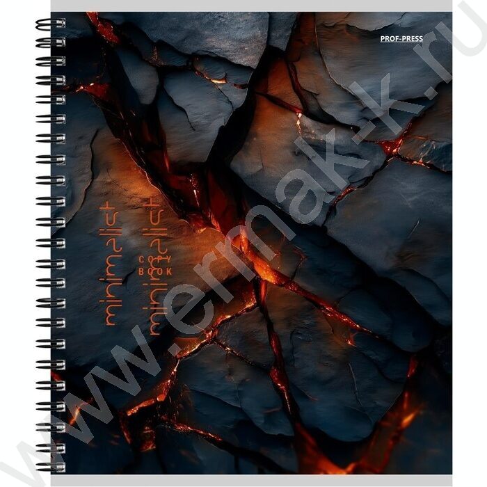 Тетрадь  96л клетка/спираль "Красивые дизайны" ассорти | Фото 5