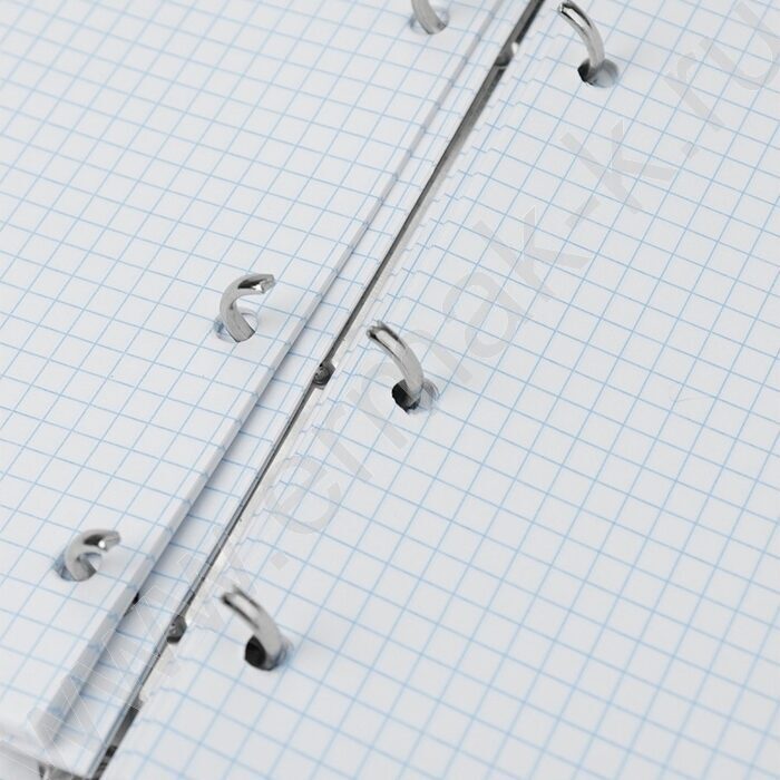 Тетрадь 120л А4 клетка/кольца "Нежные ромашки" | Фото 4