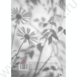 Тетрадь 120л А4 клетка/кольца "Нежные ромашки" NEW | Фото 5