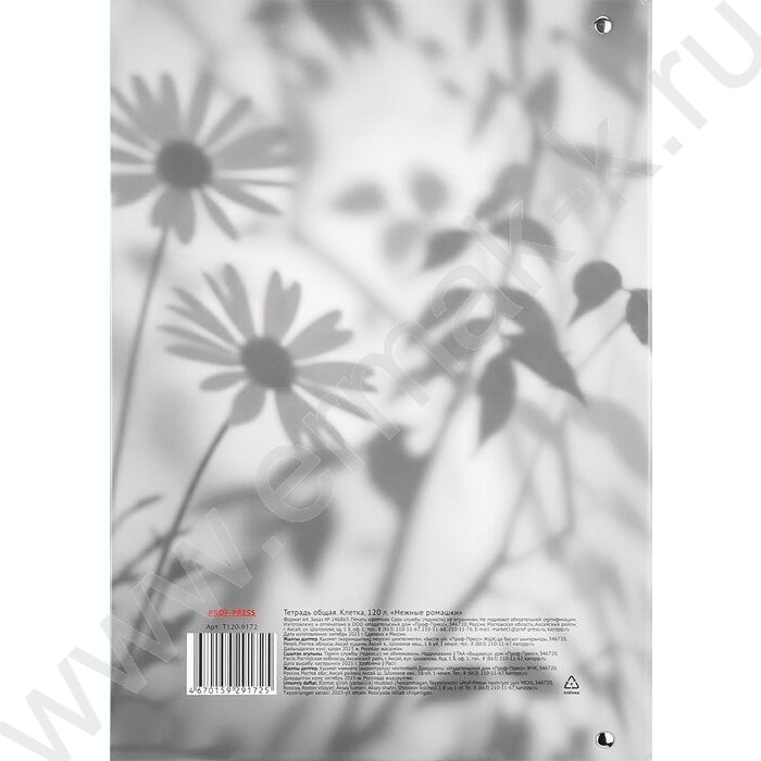 Тетрадь 120л А4 клетка/кольца "Нежные ромашки" | Фото 5