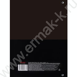 Тетрадь 120л А4 клетка/кольца "Цветы и надпись-2" NEW | Фото 5