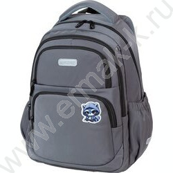 Рюкзак школьный 38x30x19см "Cool Raccoon" /1отд., 1перед.карм.,2бок.карм., эргоном. спинка /серы NEW | Фото 1