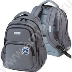Рюкзак школьный 38x30x19см "Cool Raccoon" /1отд., 1перед.карм.,2бок.карм., эргоном. спинка /серы NEW | Фото 2