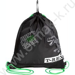 Сумка д/обуви 40*47см  водооттал. полиэстер, на верев. завязке, петля /черный "T-Rex" NEW | Фото 1