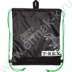 Сумка д/обуви 40*47см  водооттал. полиэстер, на верев. завязке, петля /черный "T-Rex" NEW | Фото 2