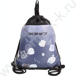 Сумка д/обуви 33*46cм  полиэстер, 1 отделение, с 2-мя ручками д/подвеса /черный " Ghost Meow" NEW | Фото 1