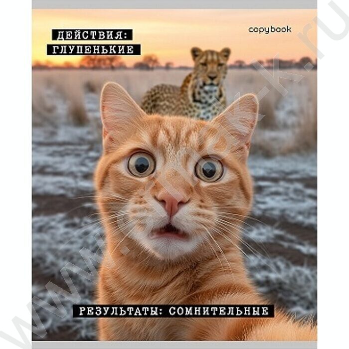 Тетрадь  48л клетка "Коты-мемы" ассорти | Фото 2