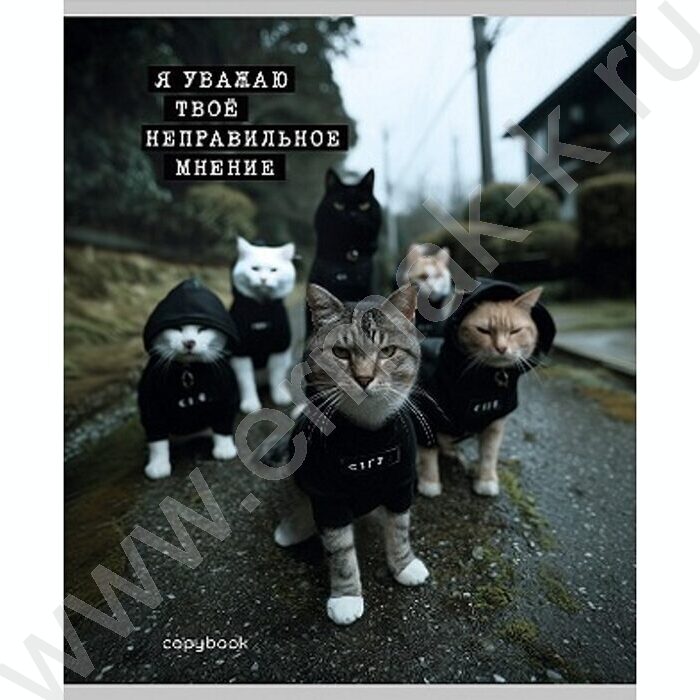 Тетрадь  48л клетка "Коты-мемы" ассорти | Фото 5
