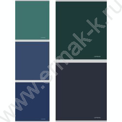 Тетрадь  48л клетка "Calligraphy" /лен/ ассорти NEW | Фото 1