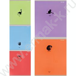 Тетрадь  48л клетка "Black cat" /мат.лам.,выб.лак./ ассорти NEW | Фото 1