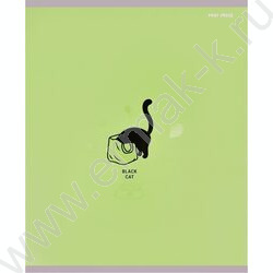 Тетрадь  48л клетка "Black cat" /мат.лам.,выб.лак./ ассорти NEW | Фото 5