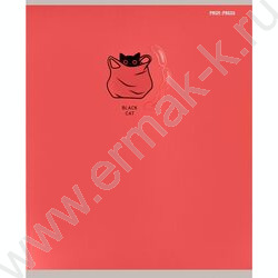 Тетрадь  48л клетка "Black cat" /мат.лам.,выб.лак./ ассорти NEW | Фото 7