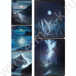 Тетрадь  48л клетка "Лунные пейзажи" /твин-лак,холодная фольга/ ассорти NEW | Фото 1