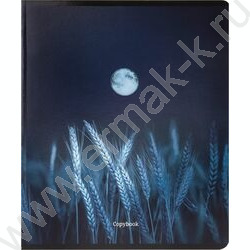 Тетрадь  48л клетка "Лунные пейзажи" /твин-лак,холодная фольга/ ассорти NEW | Фото 7