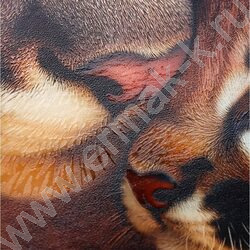 Тетрадь  48л клетка "Мамы и детёныши-1" /твин-лак,холодная фольга/ ассорти NEW | Фото 9