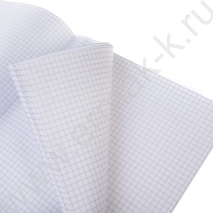 Тетрадь  48л А4 клетка "Шафран" /ламинац.SOFT-TOUCH/ | Фото 4