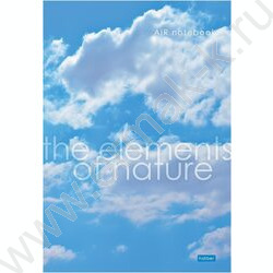Тетрадь  96л А4 линейка "Элементы природы" /глянц. ламин./ ассорти NEW | Фото 3