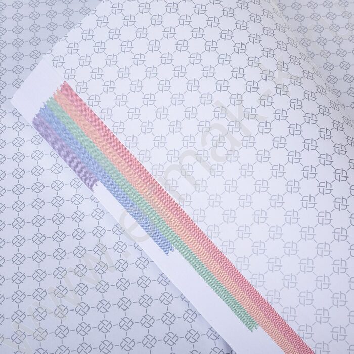 Бизнес-блокнот  80л А4 5-цв.блок "Россия" | Фото 5