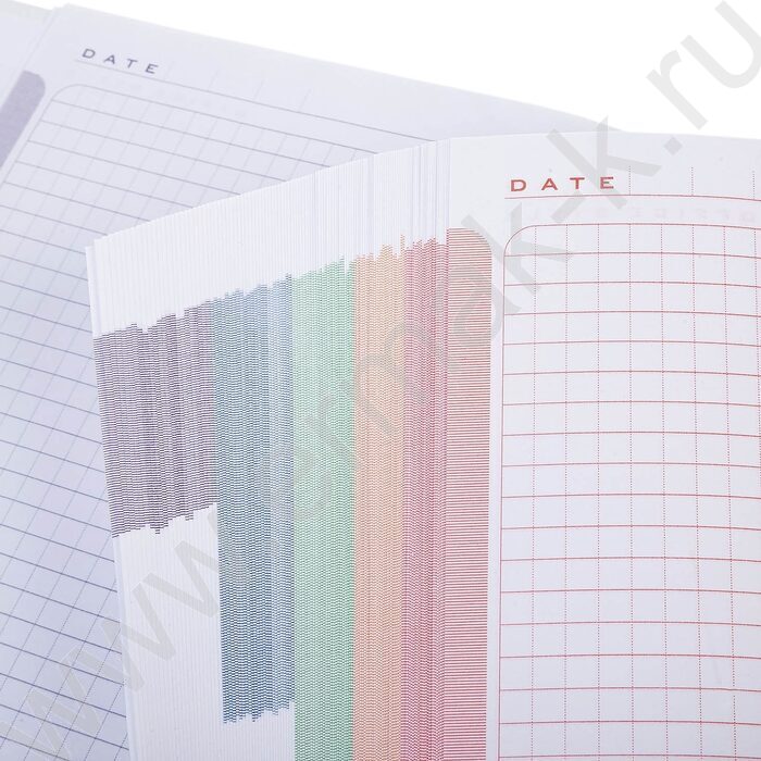 Бизнес-блокнот  80л А4 5-цв.блок "Россия" | Фото 6