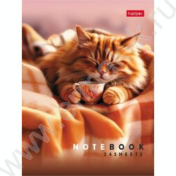 Зап. книжка  24л А6 "Маленькие ушки" клетка,глянц.ламин.,ассорти NEW | Фото 2