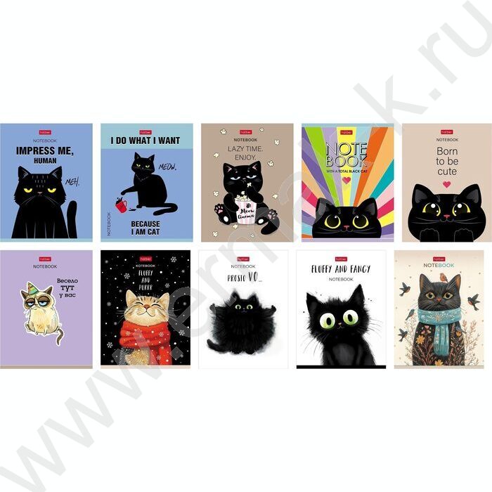 Зап. книжка  32л А6 "Котэ" клетка,мат.ламин.,ассорти | Фото 1