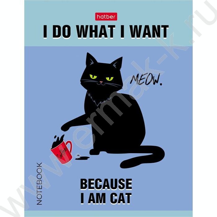 Зап. книжка  32л А6 "Котэ" клетка,мат.ламин.,ассорти | Фото 2