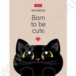 Зап. книжка  32л А6 "Котэ" клетка,мат.ламин.,ассорти NEW | Фото 4