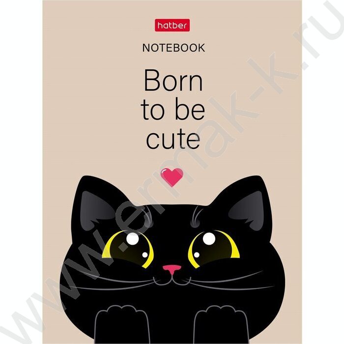 Зап. книжка  32л А6 "Котэ" клетка,мат.ламин.,ассорти | Фото 4