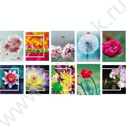 Зап. книжка  32л А6 "Живые моменты" клетка,глянц.ламин.,ассорти NEW | Фото 1