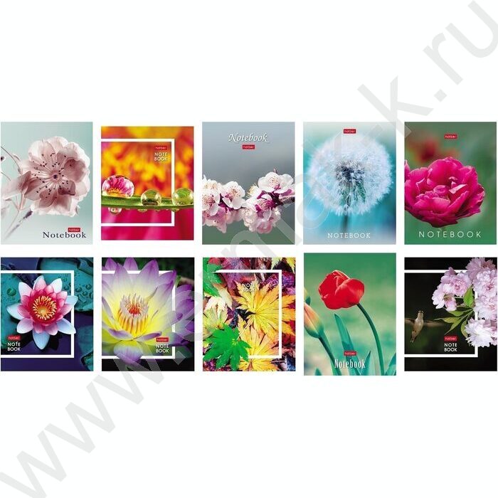 Зап. книжка  32л А6 "Живые моменты" клетка,глянц.ламин.,ассорти | Фото 1