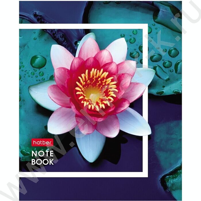 Зап. книжка  32л А6 "Живые моменты" клетка,глянц.ламин.,ассорти | Фото 2