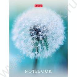 Зап. книжка  32л А6 "Живые моменты" клетка,глянц.ламин.,ассорти NEW | Фото 4