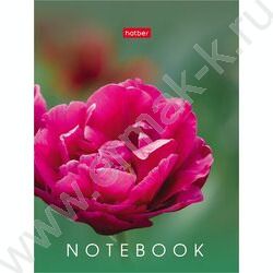 Зап. книжка  32л А6 "Живые моменты" клетка,глянц.ламин.,ассорти NEW | Фото 5